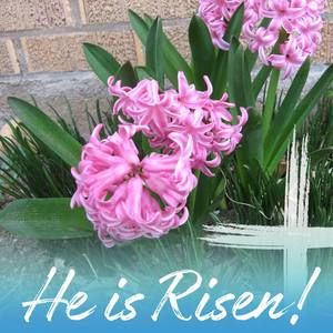 Meet your Posher, Joyce